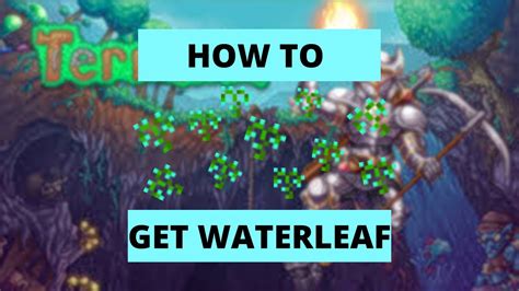 When a fishing pole is cast, at least one bait item must be in the player's inventory; otherwise, nothing can be caught. . How to get waterleaf terraria